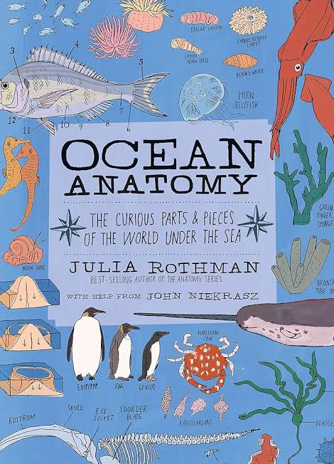 Ocean Anatomy