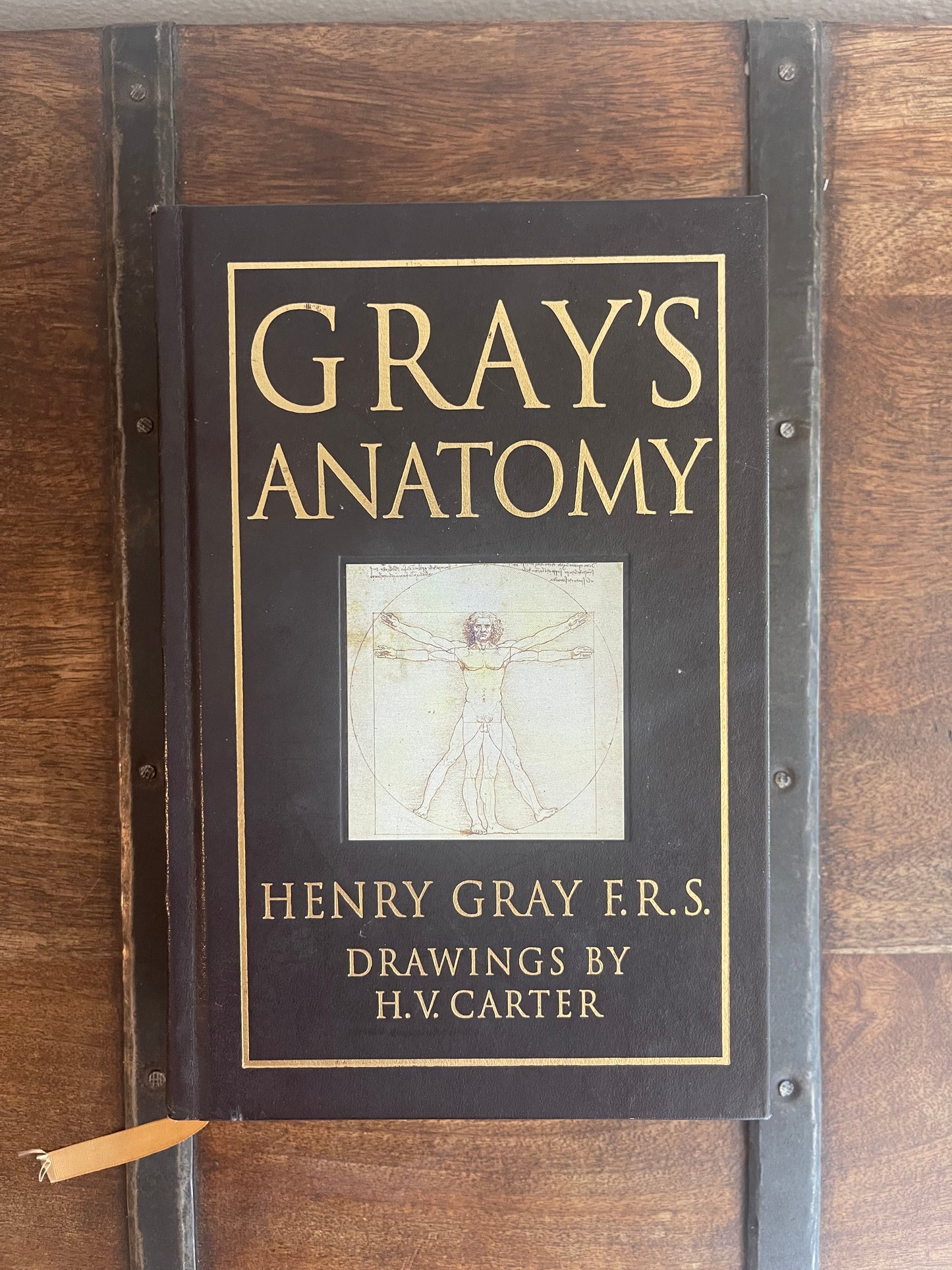 Gray’s Anatomy