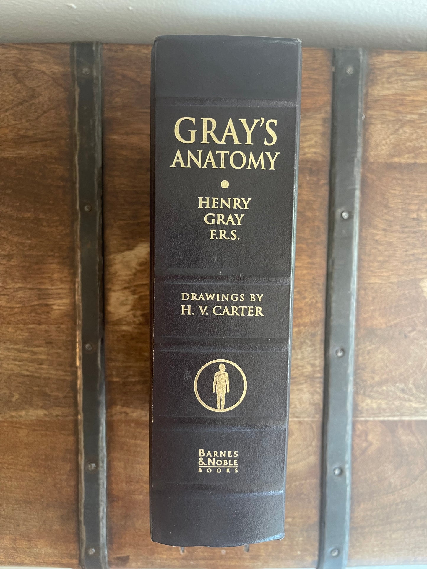 Gray’s Anatomy